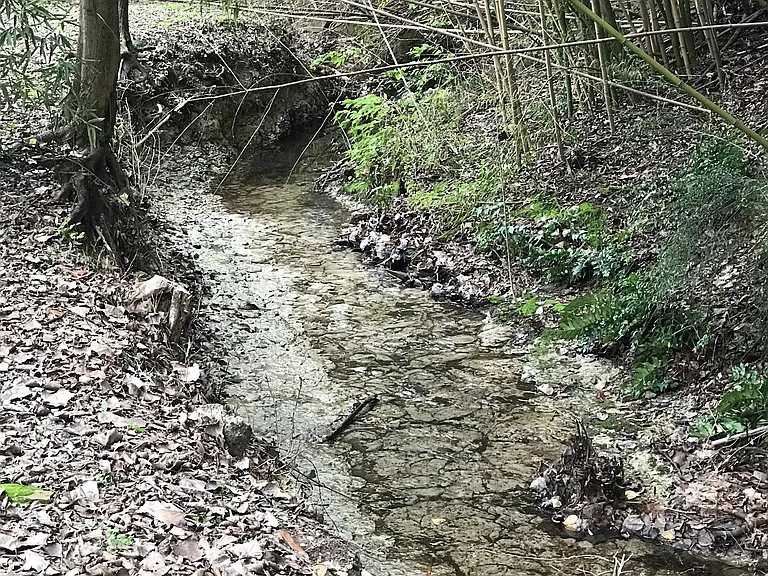 Lake Circle Dr — Photo 5