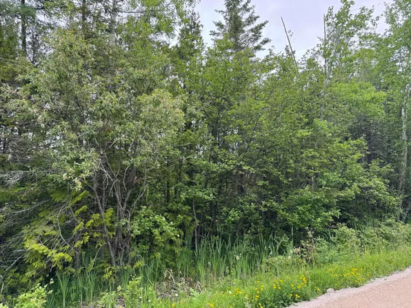 Brevort Lake Rd, Moran, MI 49760