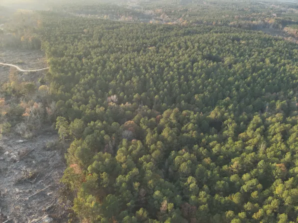 30 Yards North Of Buster Green Rd, Bluff City, AR 71722