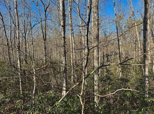 35 Wilson Ridge Rd, Wilder, TN 38589