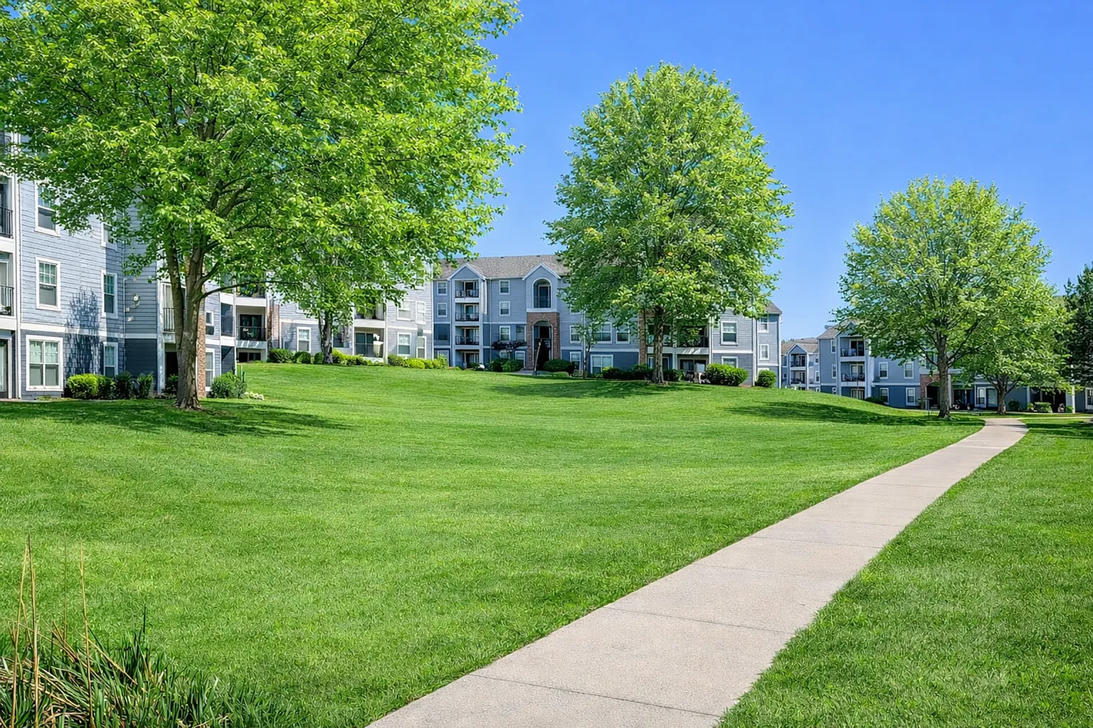 Campus Crossings at Ram's Pointe — Photo 4