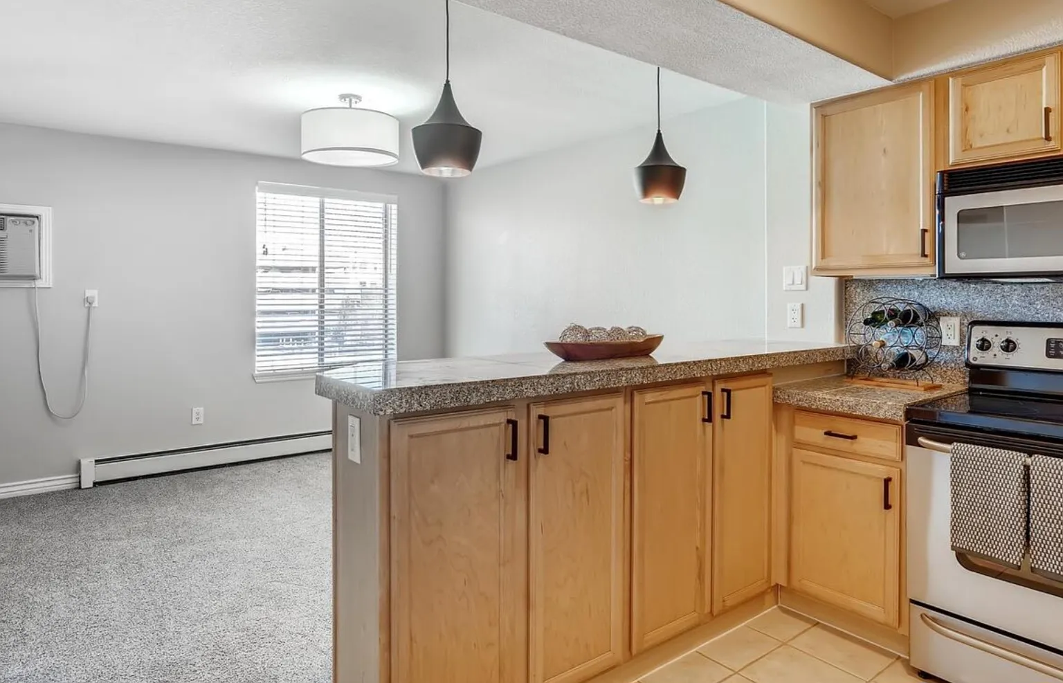1 bed, 428 sqft, $1,195 — Photo 3