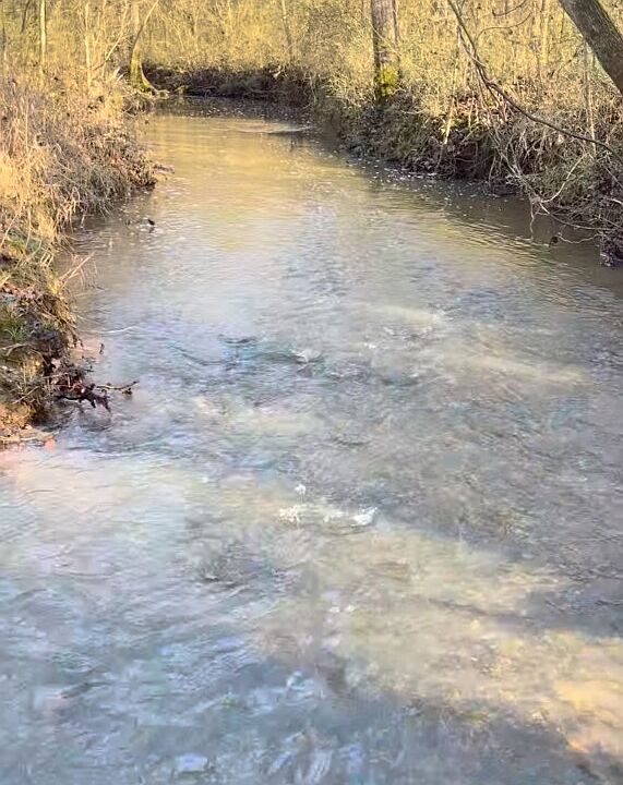 1st image of 0 County Road 134