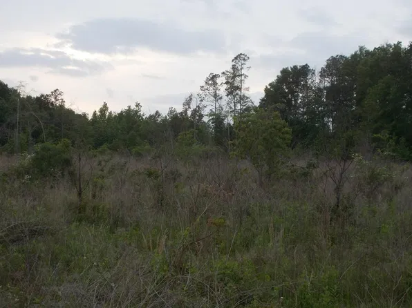 1 Chess Bankston Rd, Mount Hermon, LA 70450