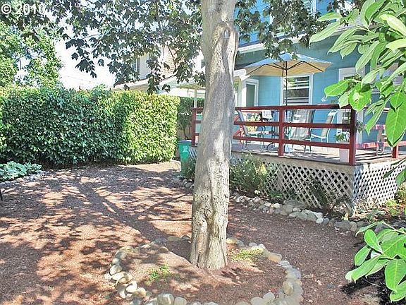 Back yard