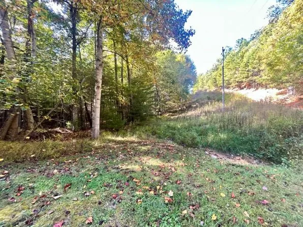 Langhorne Rd, Pulaski, VA 24301