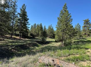 69 Coyote Run, Cotopaxi, CO 81223