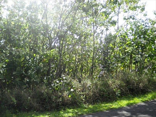 1st image of Kamoamoa St Lot 251