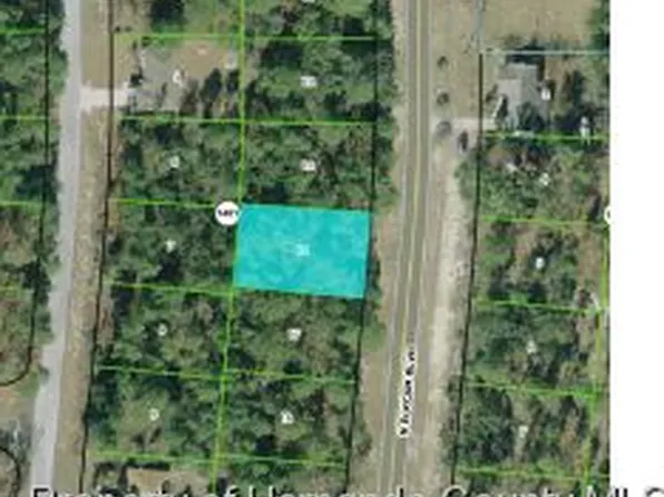 10892 N Elkcam Blvd, Citrus Springs, FL 34433