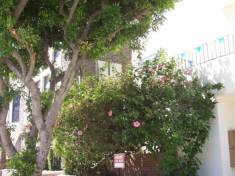 Gayley Manor Apartments — Photo 11