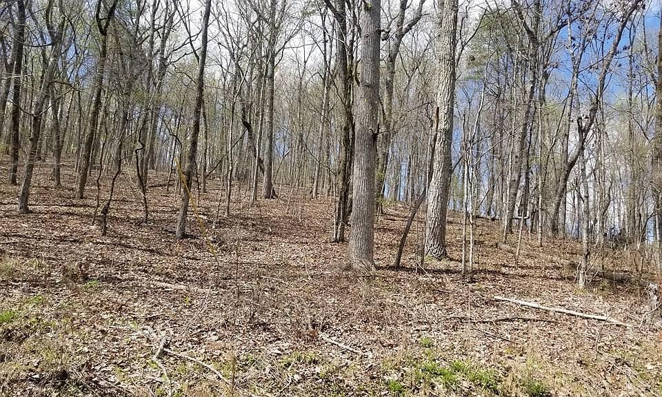 1st image of 0 Spruce Willow & Maple