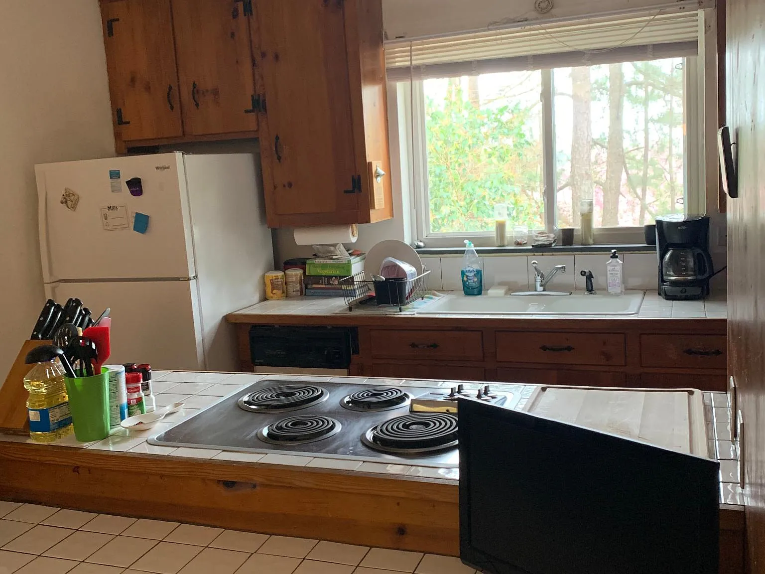 1 bed, $1,050 — Photo 2