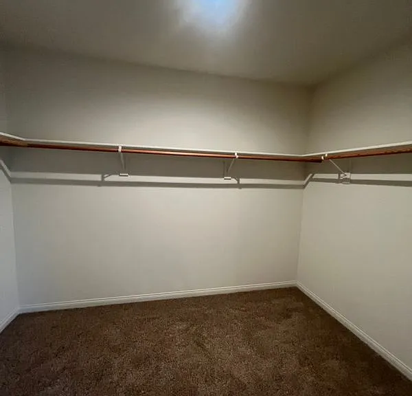 8311 Jean Anne St — Photo 7