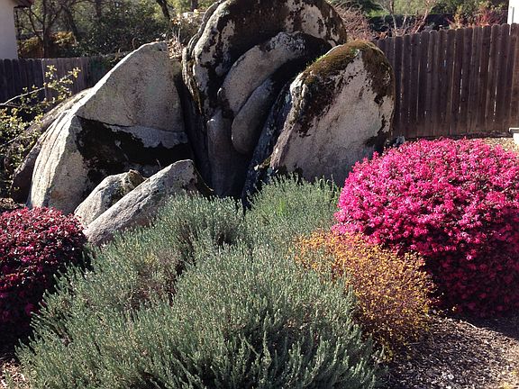 5th image of 302 Alpine Falls Dr