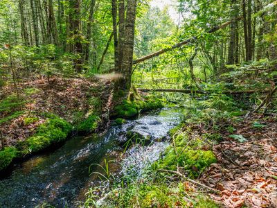 lot 125 US Rt 1, Milbridge, ME, 04658