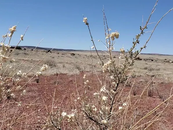 39 County Road 6016, Saint Johns, AZ 85936