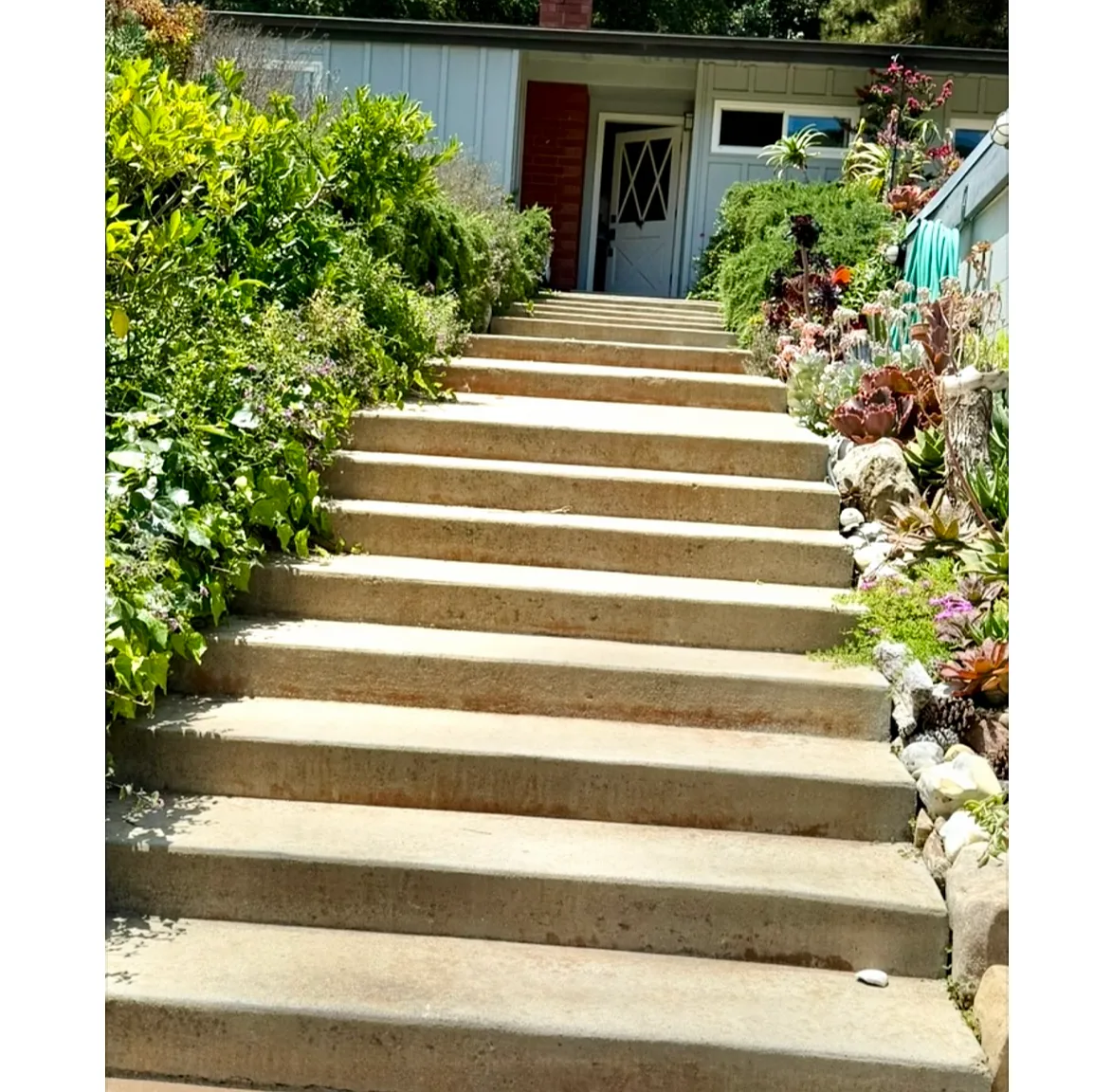 1 bed, $2,200 — Photo 1