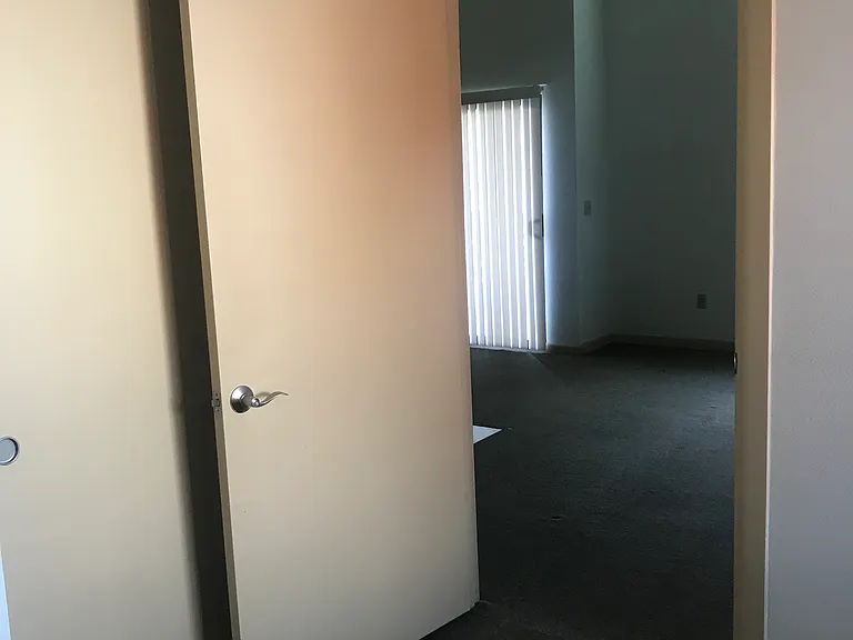 1005 E 8th St #3018 — Photo 13