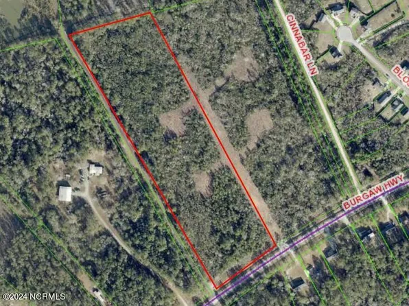 Lot 1 Burgaw Highway, Maple Hill, NC 28454