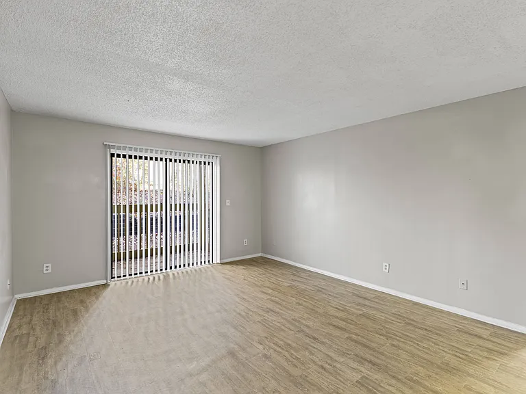 Zelda Pointe — Photo 14