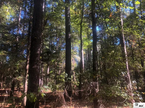 0 Park Ln, Bastrop, LA 71220