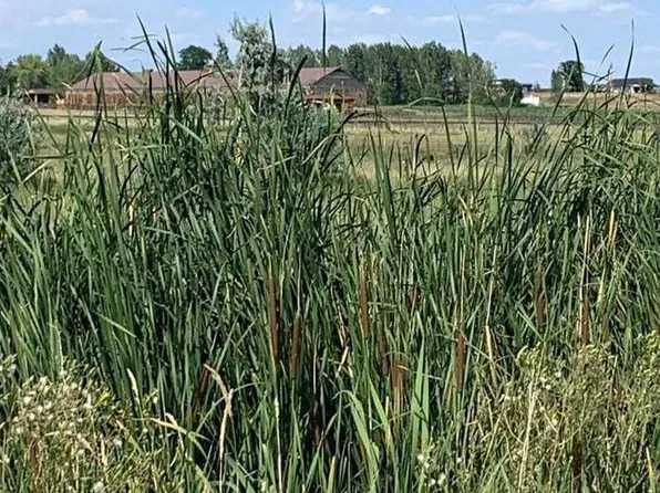 102 N County Road 23, Berthoud, CO 80513