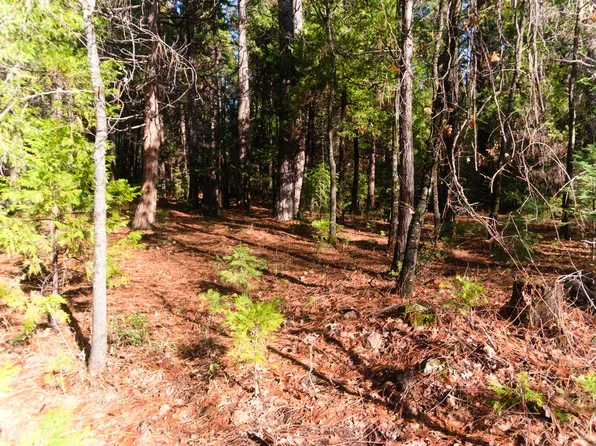 100th Rd, Shingletown, CA 96088