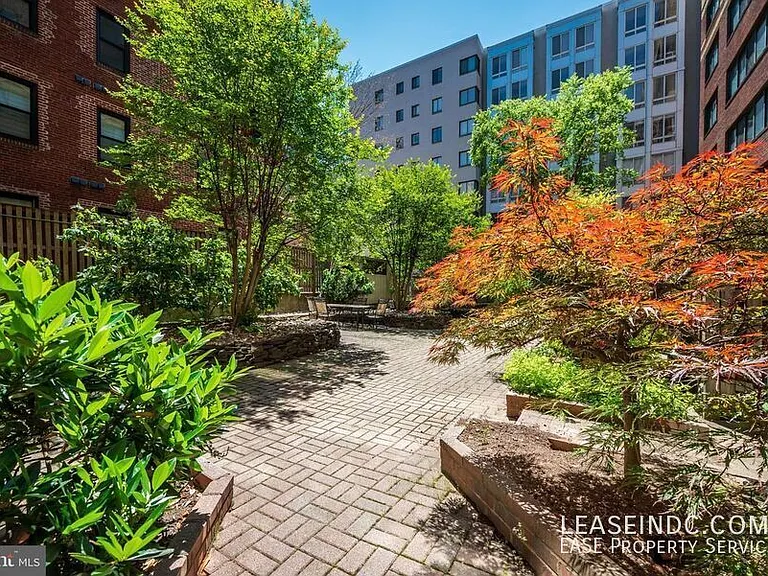 1245 13th St NW #311A — Photo 18