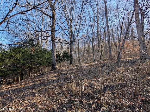 5th image of 175 John Partin Rd