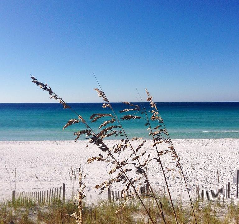 1st image of 8575 Gulf Blvd Unit 1304-13