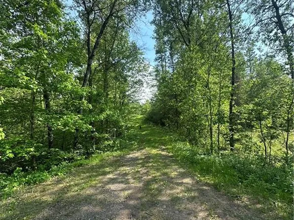 31.54 Acres Timber Wolf Drive, Hayward, WI 54843