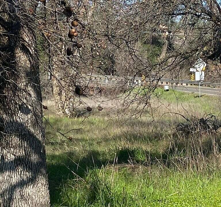 1st image of 99999 Churn Creek Rd