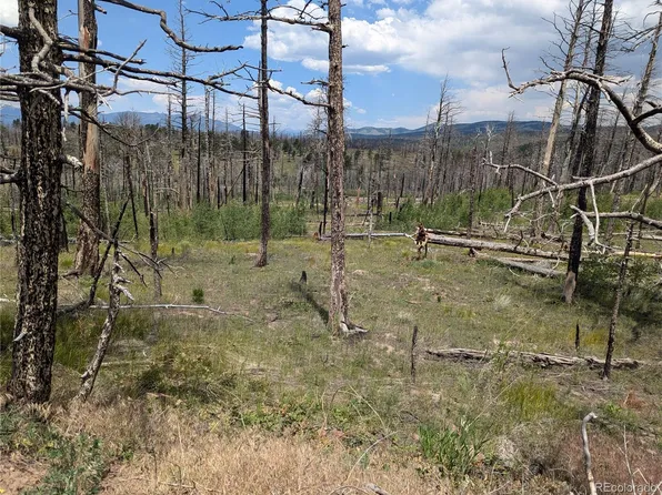 1200 Madden Lane, Fort Garland, CO 81133