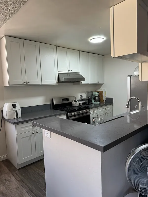 2 bed, 900 sqft, $2,900 — Photo 3