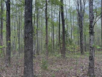 0 S Constitution Rte #12, Dillwyn, VA, 23936