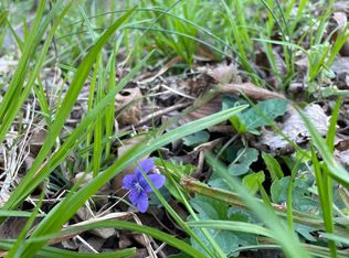 Joans Quadrangle Rd, Front Royal, VA 22630