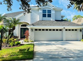 11646 Renaissance View Ct, Tampa, FL 33626