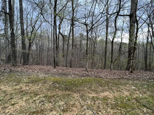 0 Lake Bluff Path, Savannah, TN 38372