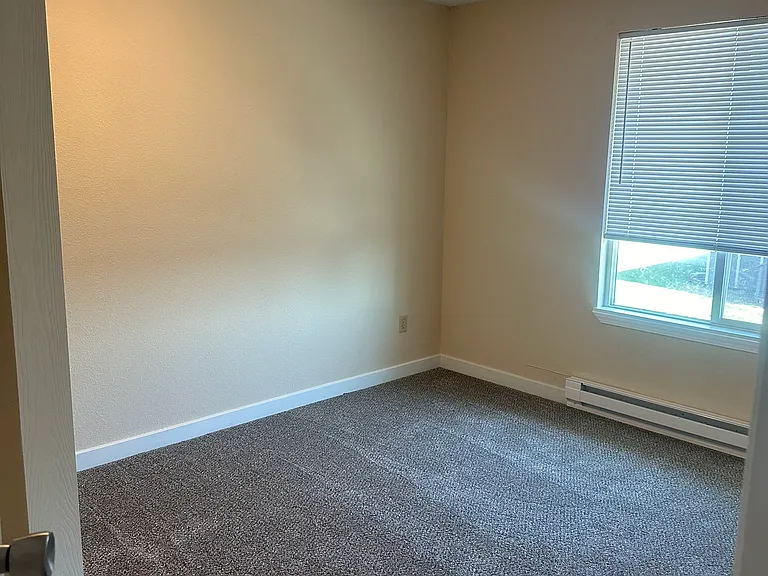 1520 W Clark St #D — Photo 4