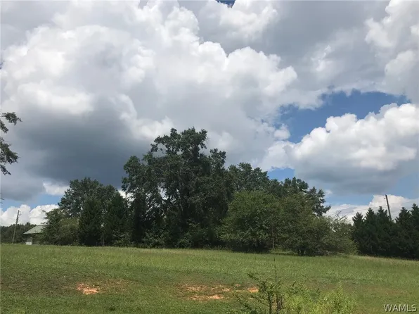 1107 Temple Ave N, Fayette, AL 35555