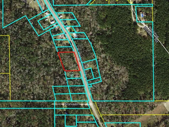 Xxx Lincoln Dr, Chattahoochee, FL 32324