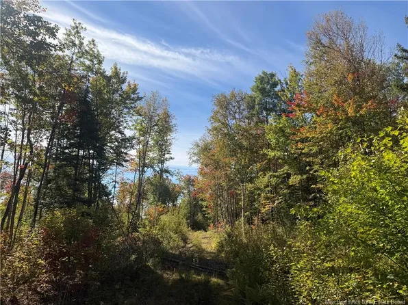 LOT Bettsburg Rd, Upper Miramichi, NB E9C 2C2