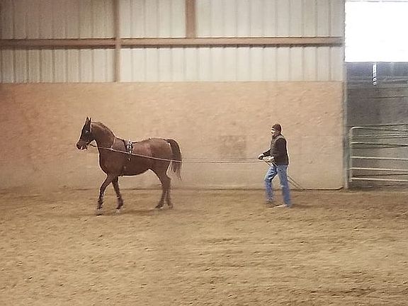 Notice the high Ceilings!