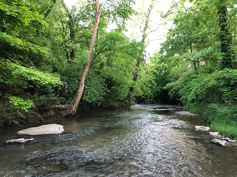 Creek behind neighborhood playground