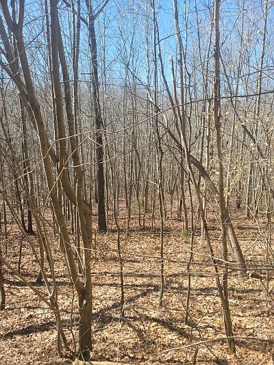 2nd image of 0 Reed Rd