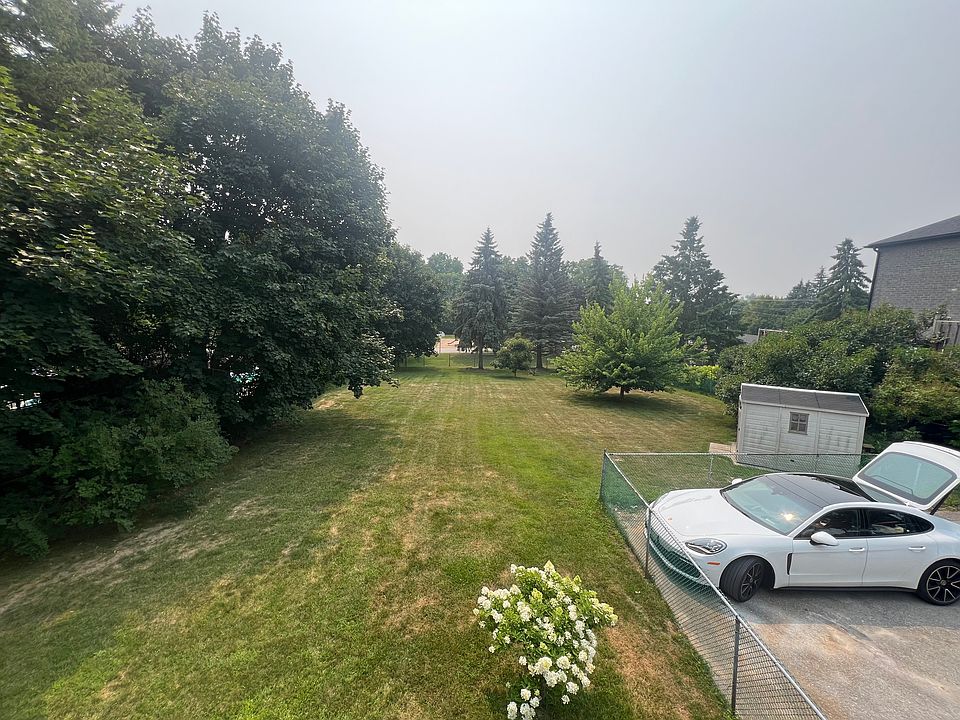 large fenced backyard