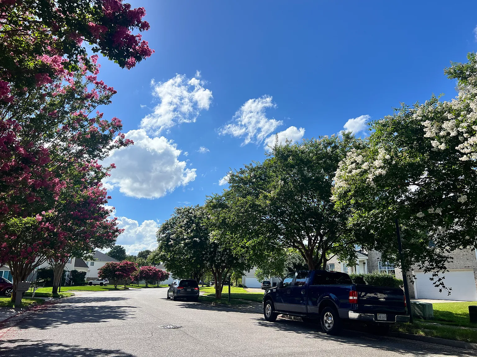 4 bed, 2350 sqft, $2,900 — Photo 4