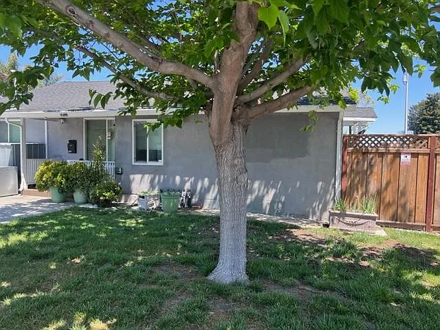 3 bed, 1250 sqft, $4,200 — Photo 3