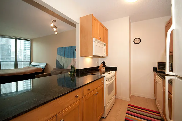 400 N Lasalle Blvd #2203 — Photo 2