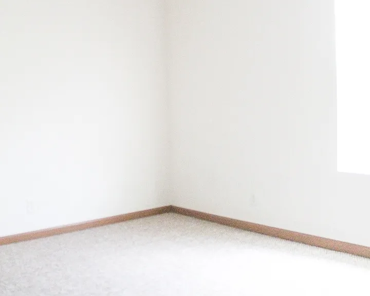 3218 Hopkins Ct — Photo 10